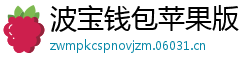 波宝钱包苹果版